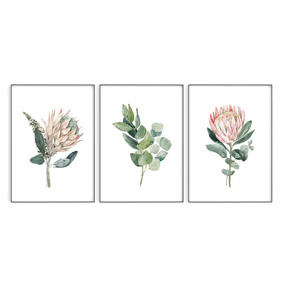 protea flower watercolour print set