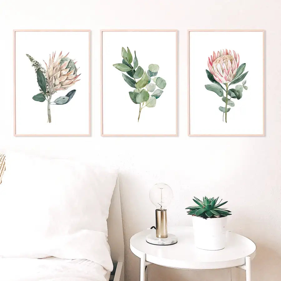 Watercolour Protea Flowers Set of 3 Art Prints - Wattle Designs