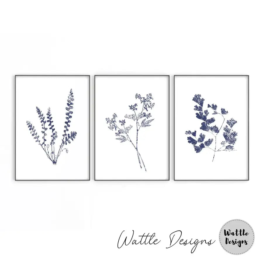 Blue Botanical Set of 3 Prints - Wattle Designs