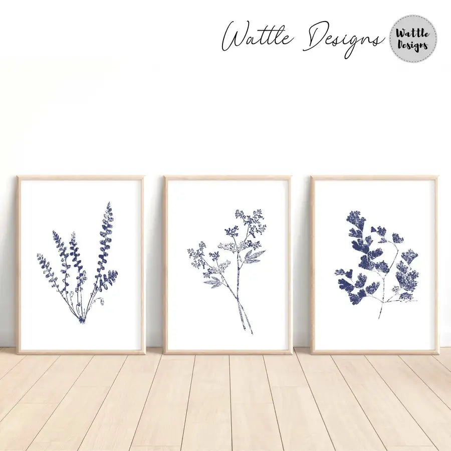 Blue Botanical Set of 3 Prints - Wattle Designs