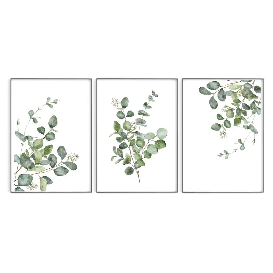Set of 3 Eucalyptus Leaf Botanical Art Prints - Wattle Designs