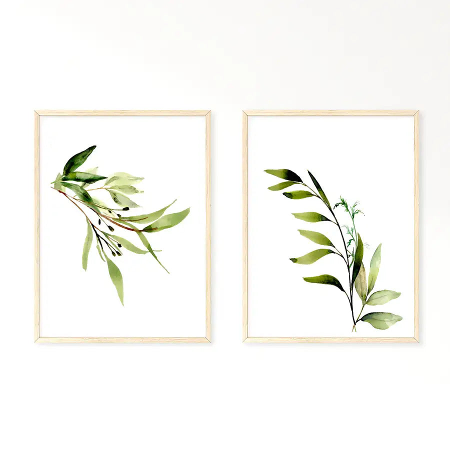pair of botanical prints in oak frames